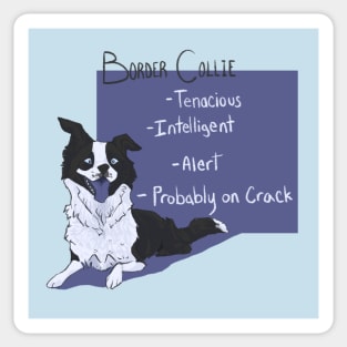 Border Collies on Crack Sticker